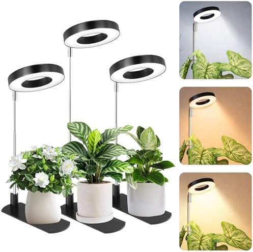 Full spectrum halo light with circular base