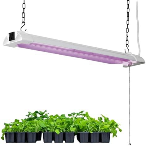 ENATECLITE
