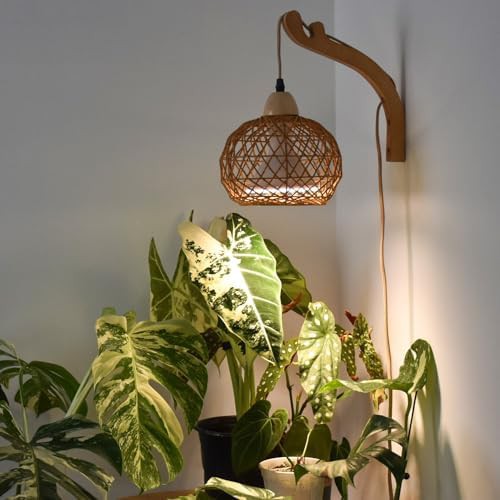 Hanging full spectrum light for indoor plants
