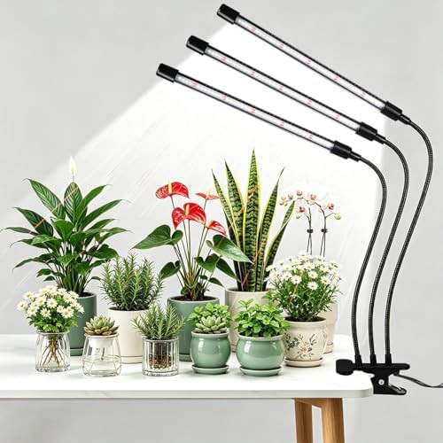 Black three head clip grow light with timer