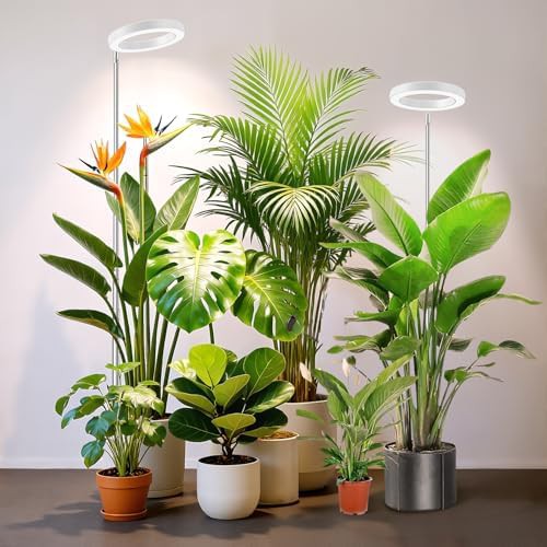 Full spectrum 6.3in indoor plant growing light