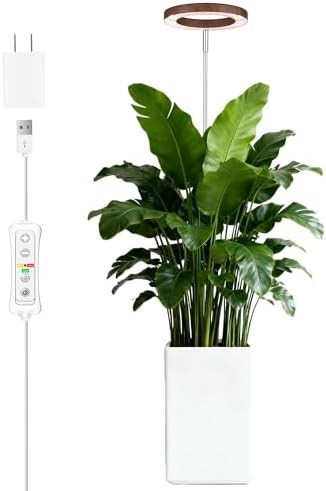 Walnut grain tall plant lamp