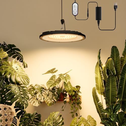 Hanging full spectrum light with large head