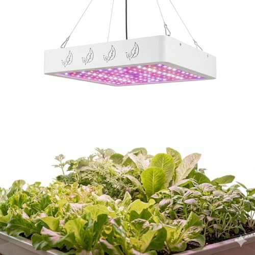 High PPFD dimmable light for bloom
