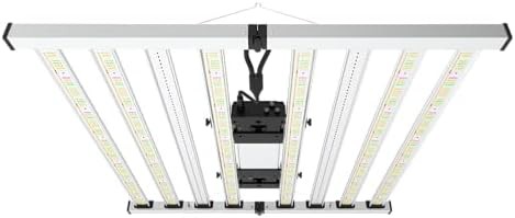 Mammoth Lighting