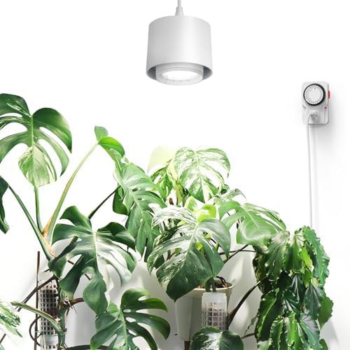 TR40 hanging plant light 5000k 40w