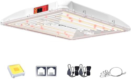 sunlight supply