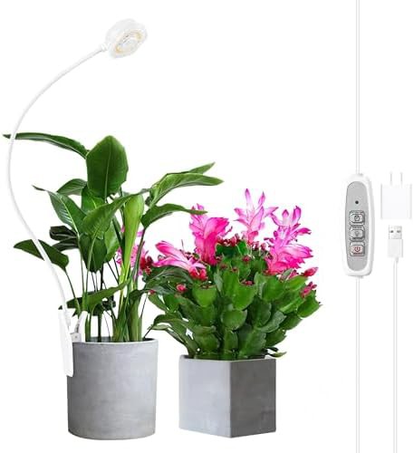 White pot clip grow light for succulents