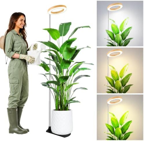 Small circular desktop light for plants