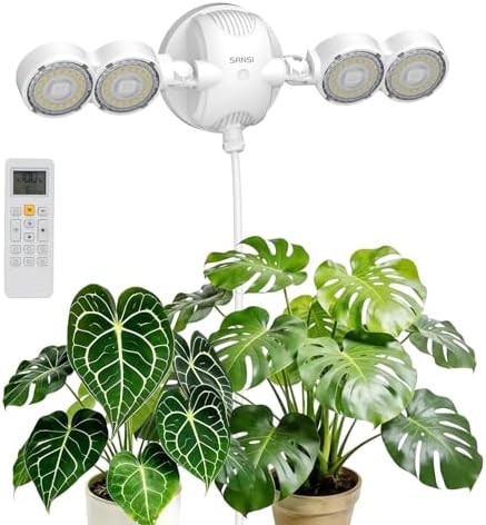 Sansi wall mounted dual head light