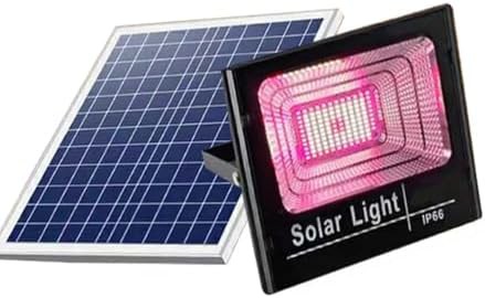 Solar rechargeable floodlight with remote timer
