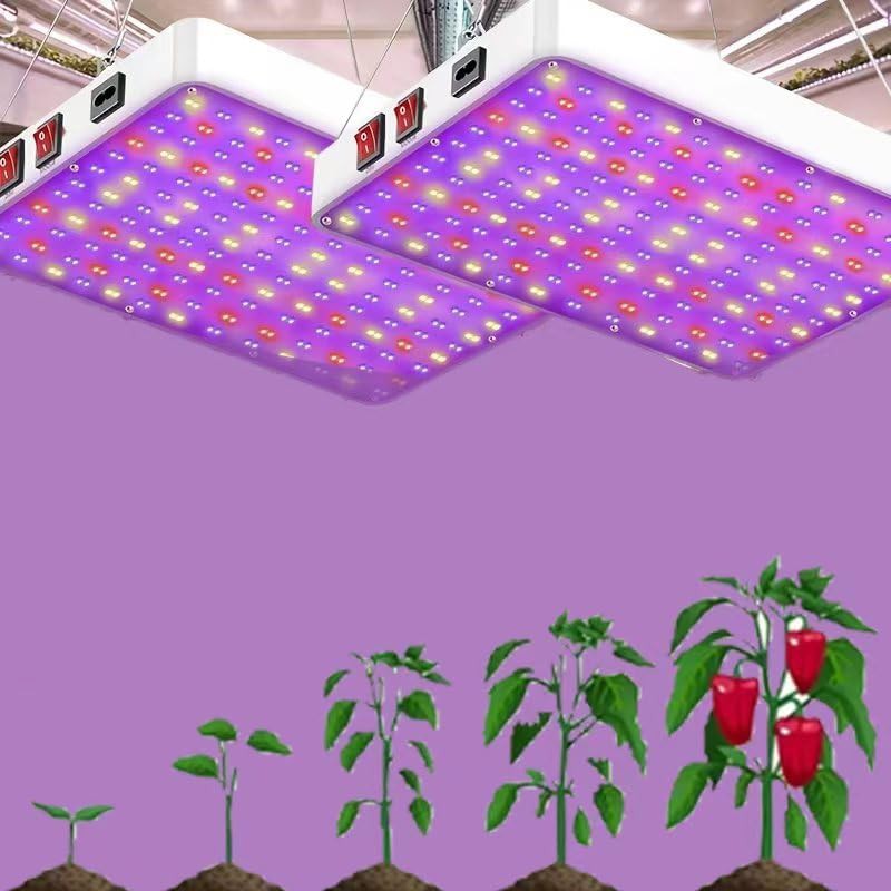 VPCRT6